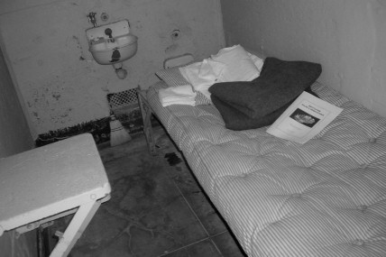 Cell Bed